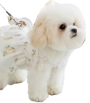 Модна сукня принцеси для собак Derby Flower summer