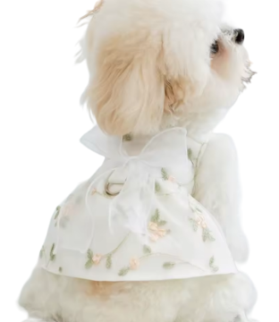 Модна сукня принцеси для собак Derby Flower summer