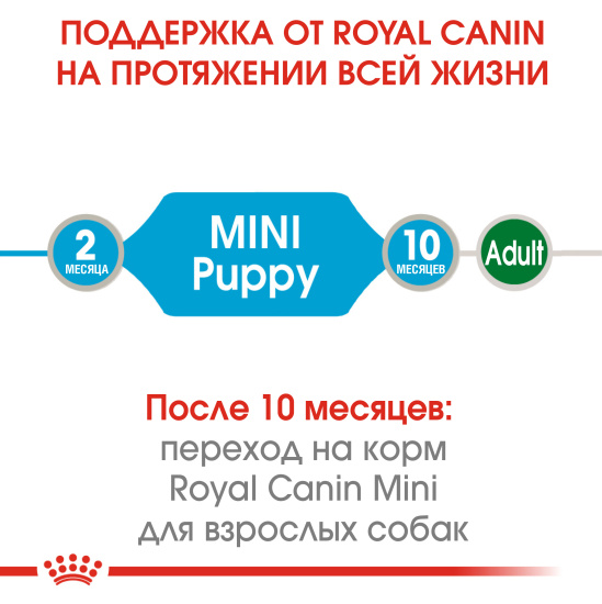 Royal Canin Mini Puppy (кусочки в соусе)