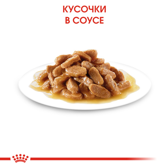 Royal Canin Mini Puppy (кусочки в соусе)