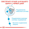 Royal Canin Mini Puppy (кусочки в соусе)