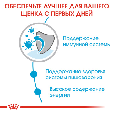 Royal Canin Mini Puppy (кусочки в соусе)