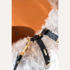 Кожаная шлея BranniPets - Arnés Nara Black