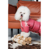 Комбінезон Pet Fashion Cherry дівчинка для собак