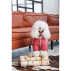 Комбінезон Pet Fashion Cherry дівчинка для собак