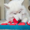 Nina Ottosson Dog Brick Головоломка для собак