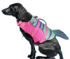 Спасательный жилет Derby Fish Design Pink для собак