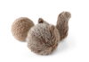 Поисковая игрушка для собак Squirrel Pop Lambwolf