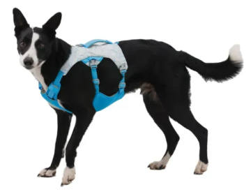 Охлаждающая шлейка для собак Ruffwear Swamp Cooler Голубой