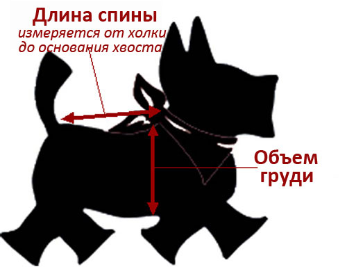 Как измерить размер одежды для собак? Как измерить размер одежды для собак?